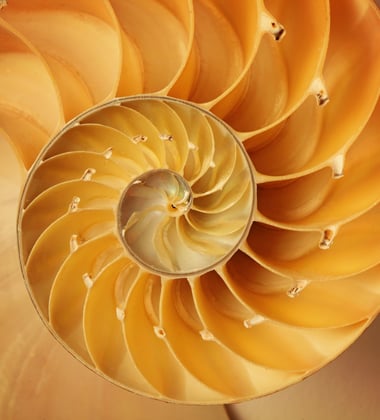 Reflections on completing a Masters